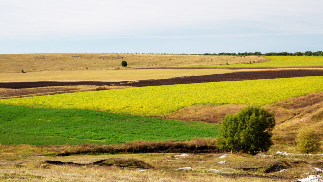 Limburg